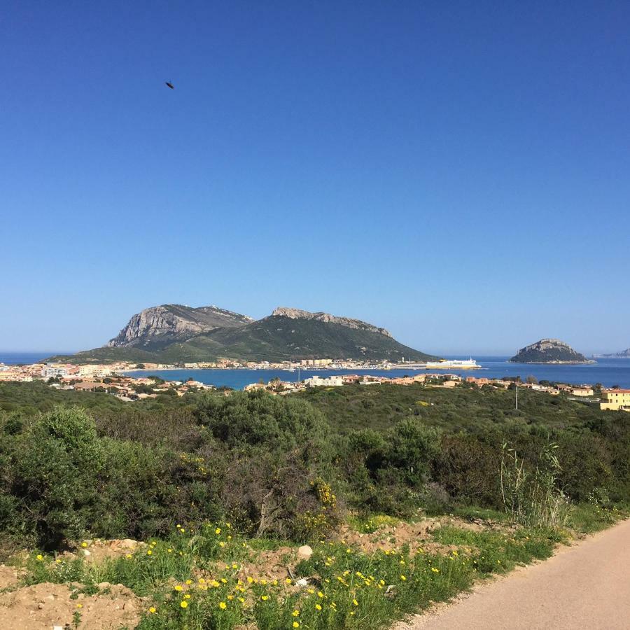 Apartamento Blue Portrait House Golfo Aranci Exterior foto