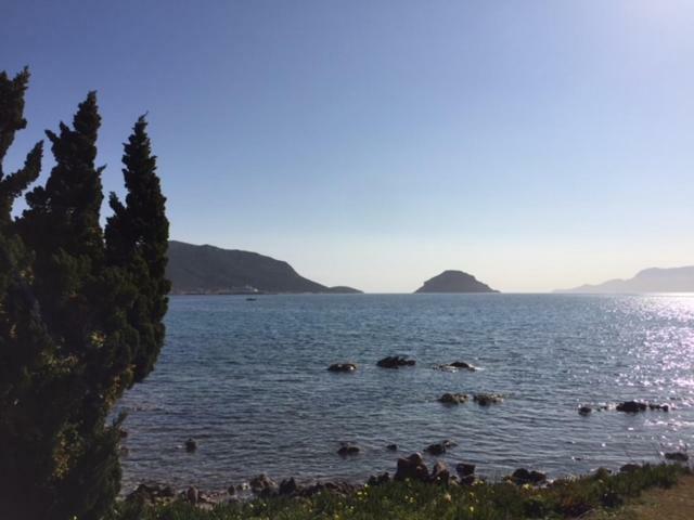 Apartamento Blue Portrait House Golfo Aranci Exterior foto